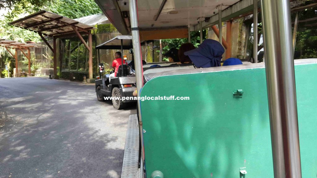 Taiping Zoo Tram