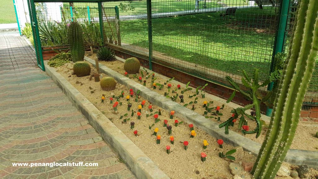 Cacti House At Penang Botanic Gardens