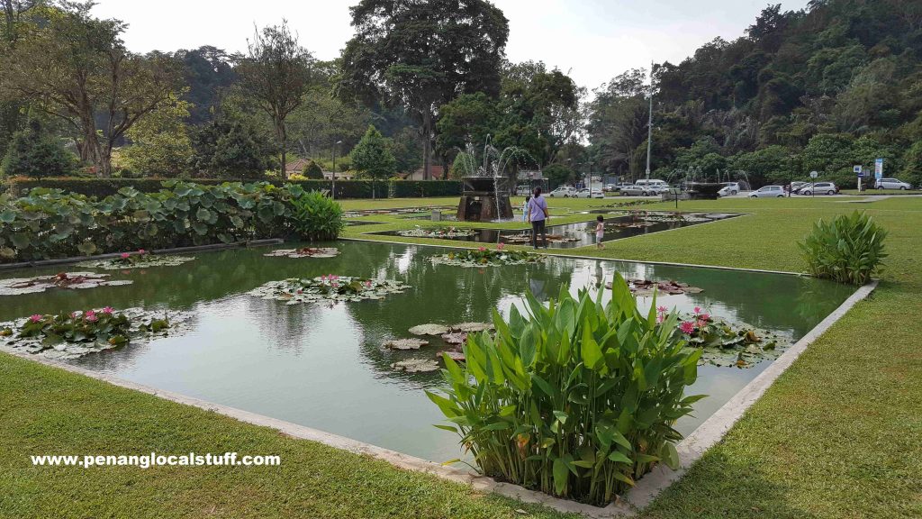 Dataran Teratai At Penang Botanic Gardens