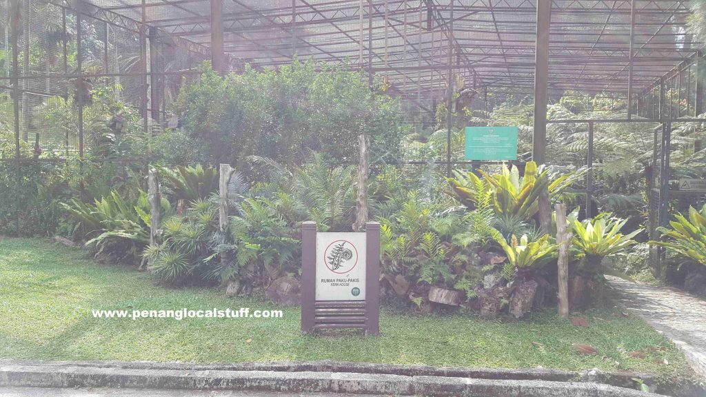 Fern House At Penang Botanic Gardens