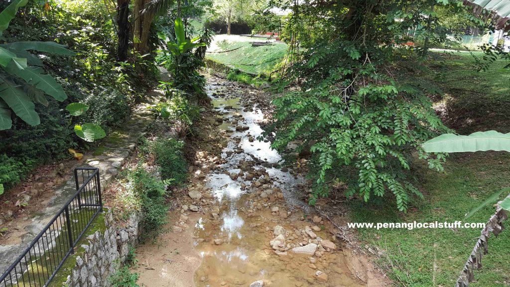 Small Stream At Penang Botanic Gardens