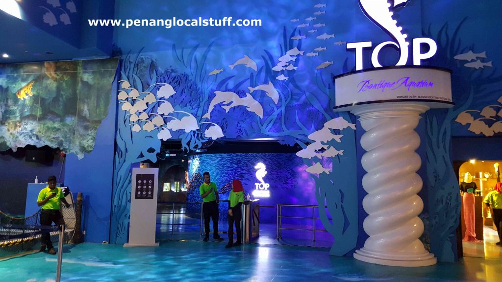 The Top Penang Boutique Aquarium