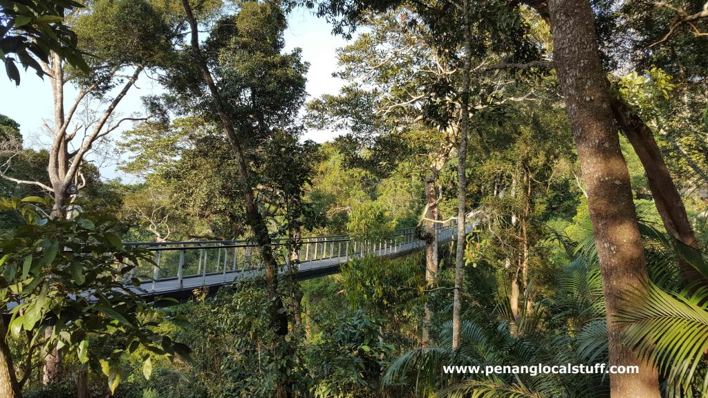 Langur Way Canopy Walk